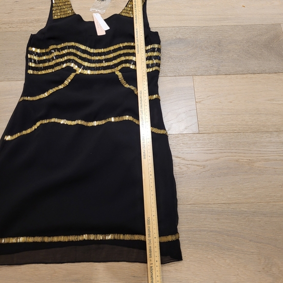 Romeo and Juliet Dress - Picture 6 of 8